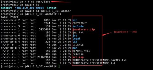 Linux系列（六） 手動命令安裝軟件與服務(wù)器基本環(huán)境搭建
